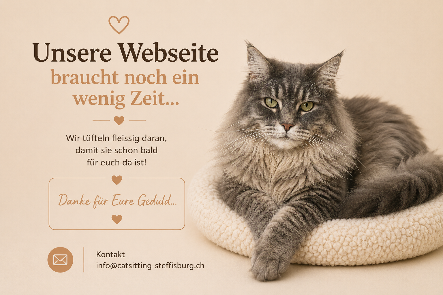 Unsere Webseite braucht noch ein wenig Zeit...